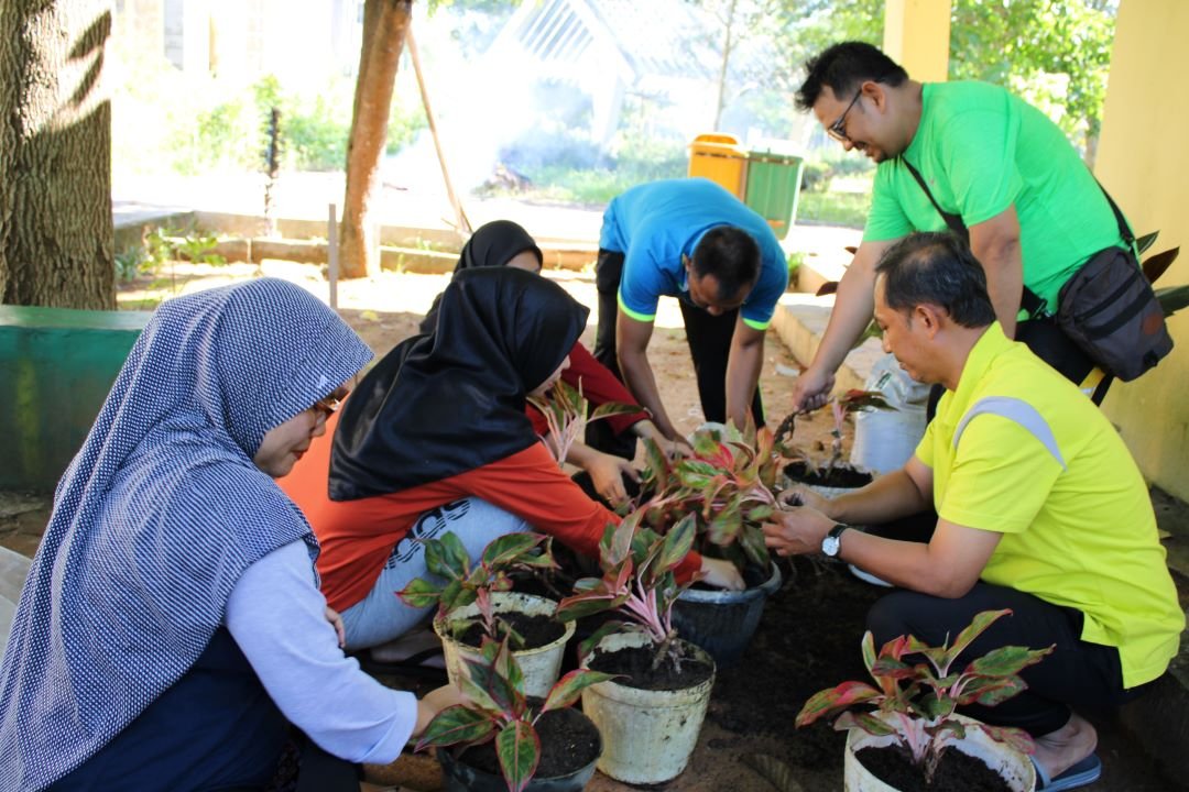 tanam1