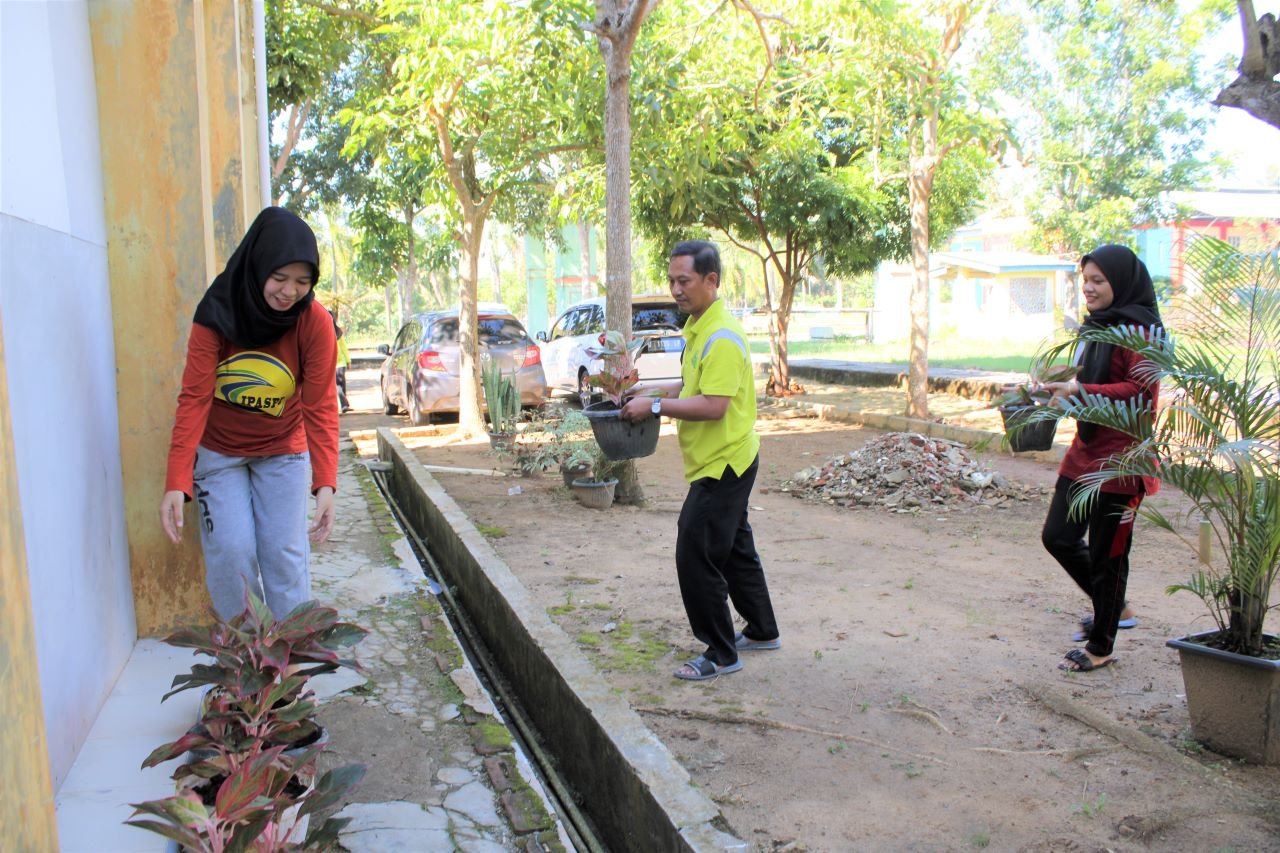 tanam3
