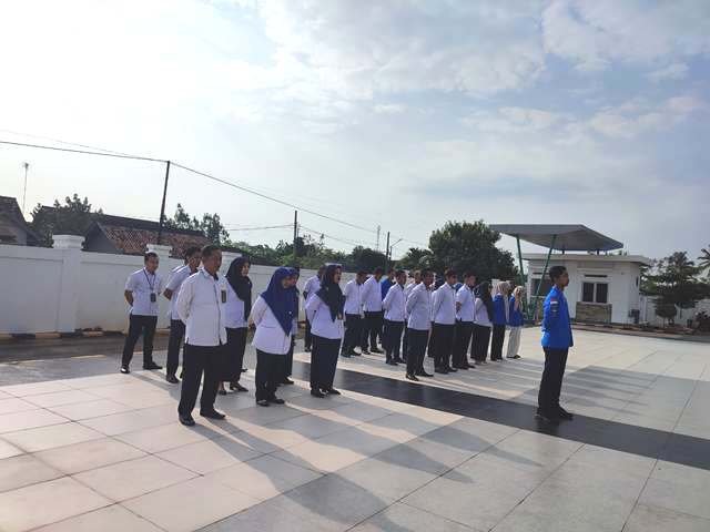 WhatsApp Image 2025 04 28 at 08.20.04